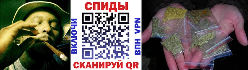 MEGA как войти  Данилов  Бутират бутандиол 