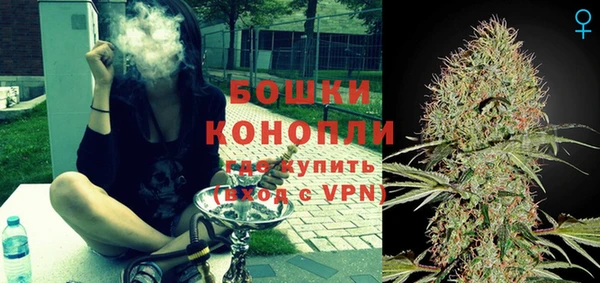 стаф Горнозаводск