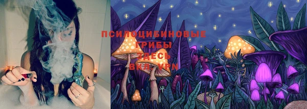 стаф Горнозаводск