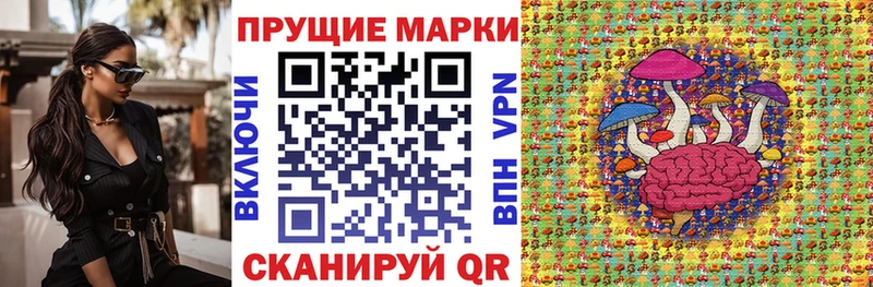 мориарти телеграм Данилов Марки 25I-NBOMe 1,8мг где купить наркоту