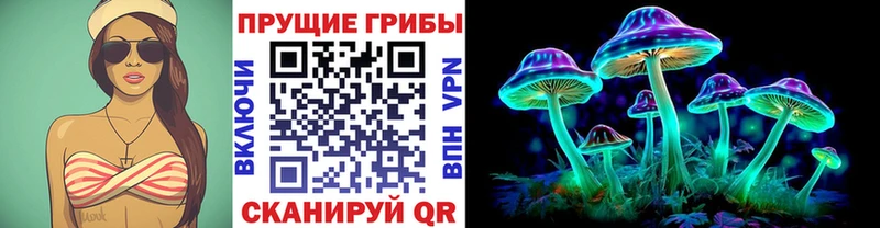 Галлюциногенные грибы Psilocybe  купить закладку  Данилов 