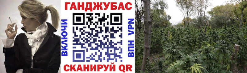 Шишки марихуана марихуана  где найти   Данилов 